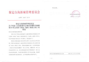 白溝新城敏譜箱包廠 從箱包制造到美發(fā)飾品銷售的跨界探索